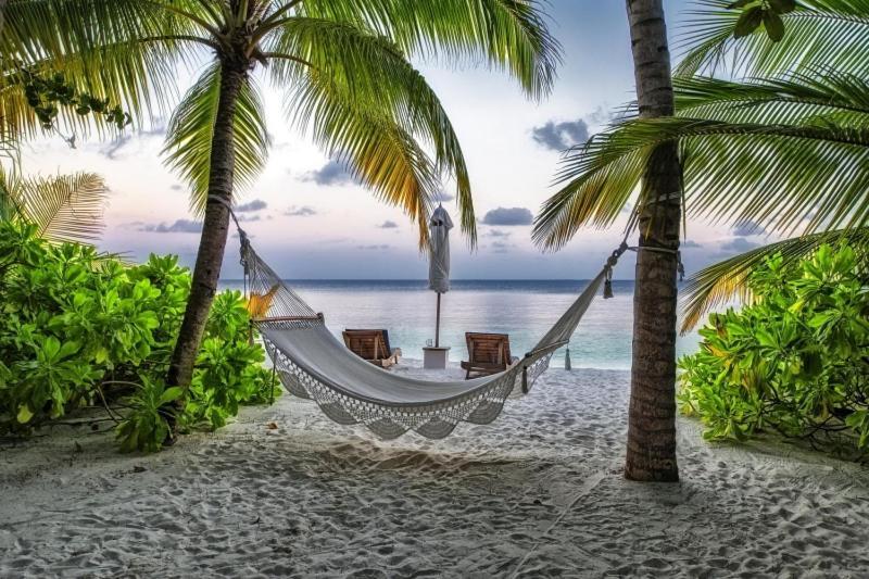 Romantique Et Bel Appartement En Bord De La Mer, Piscine Surveillee Et Belle Plage A 50M 圣弗朗索瓦 外观 照片
